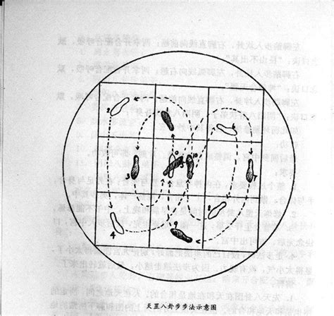 天罡七星步|天罡七星步